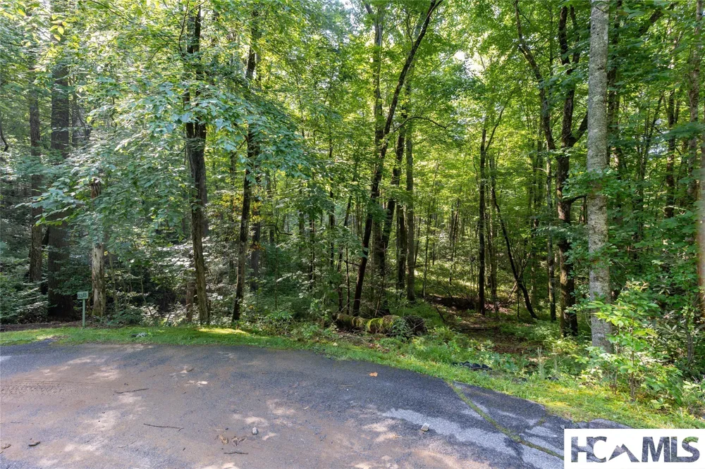 63B Big Pine Road Sapphire, NC 28774