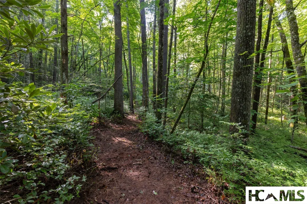63B Big Pine Road Sapphire, NC 28774