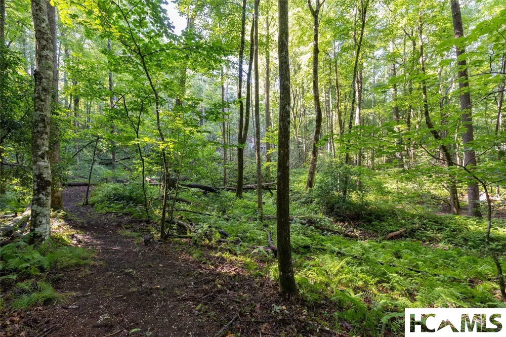 63B Big Pine Road Sapphire, NC 28774