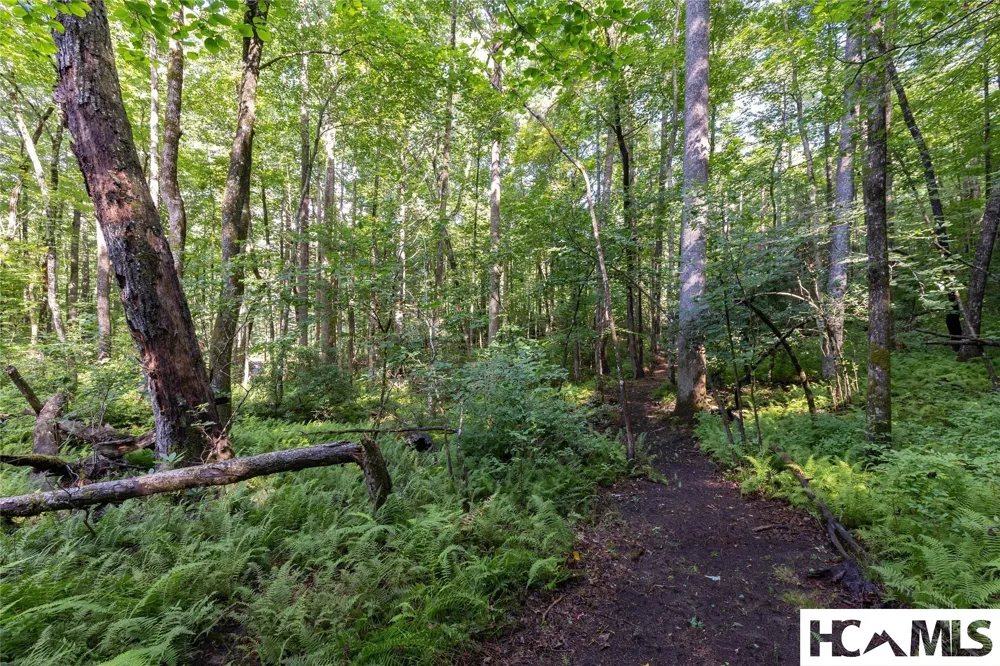 63B Big Pine Road Sapphire, NC 28774