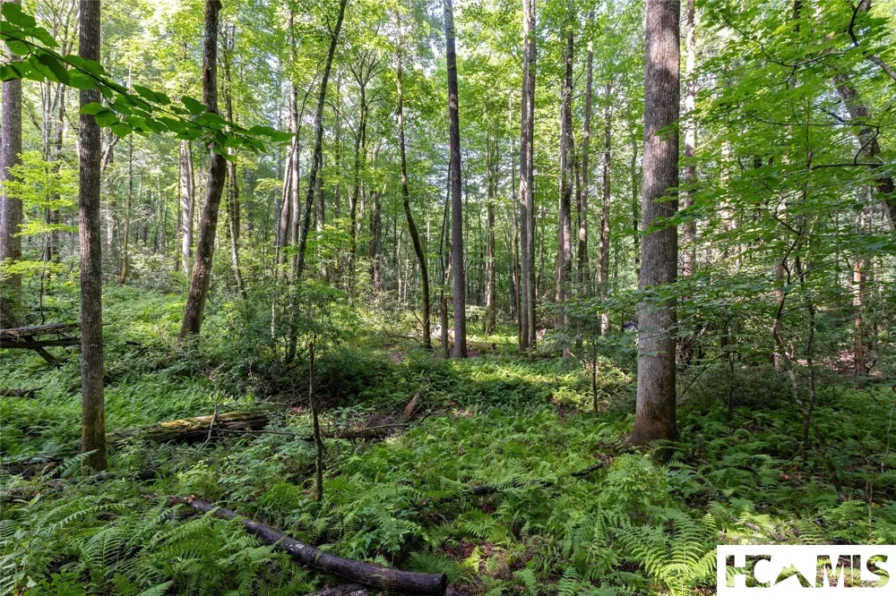 63B Big Pine Road Sapphire, NC 28774