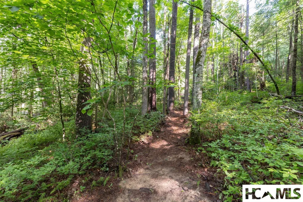 63B Big Pine Road Sapphire, NC 28774