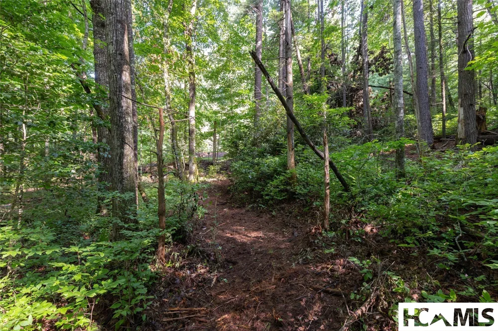 63B Big Pine Road Sapphire, NC 28774
