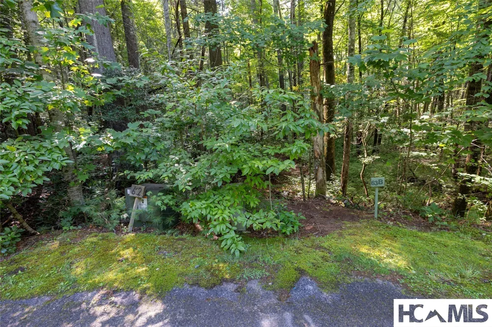 63B Big Pine Road Sapphire, NC 28774