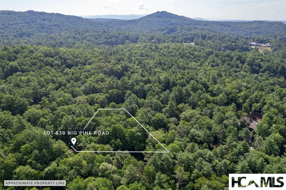 63B Big Pine Road Sapphire, NC 28774