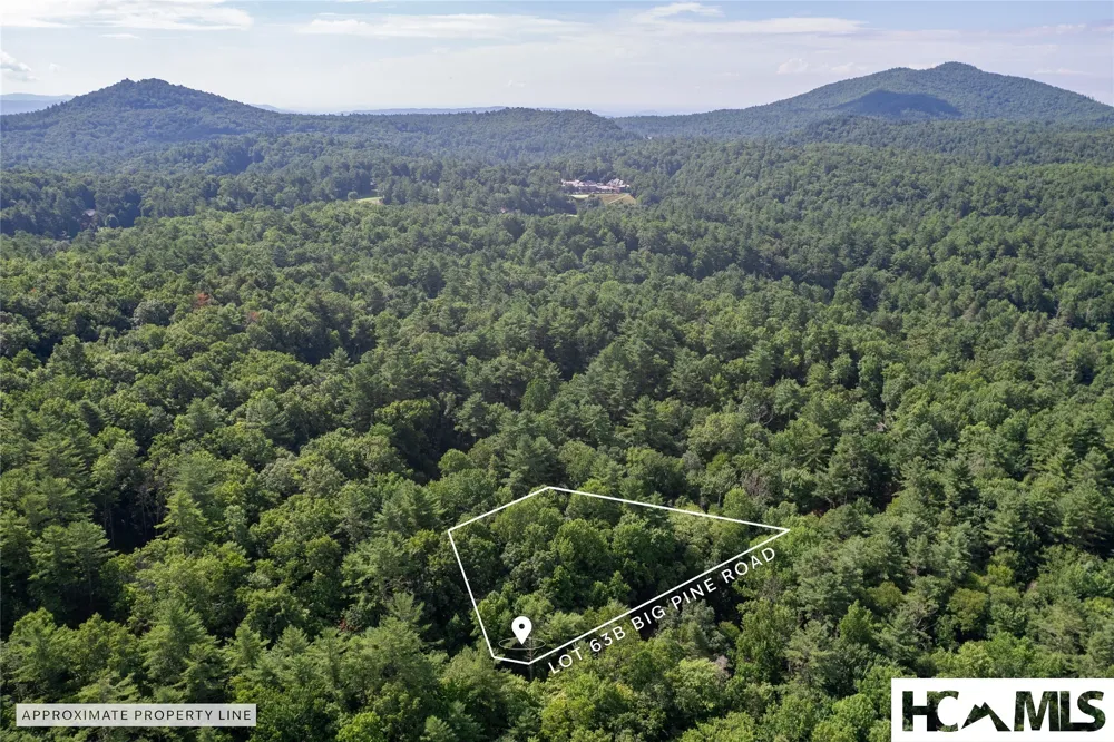 63B Big Pine Road Sapphire, NC 28774
