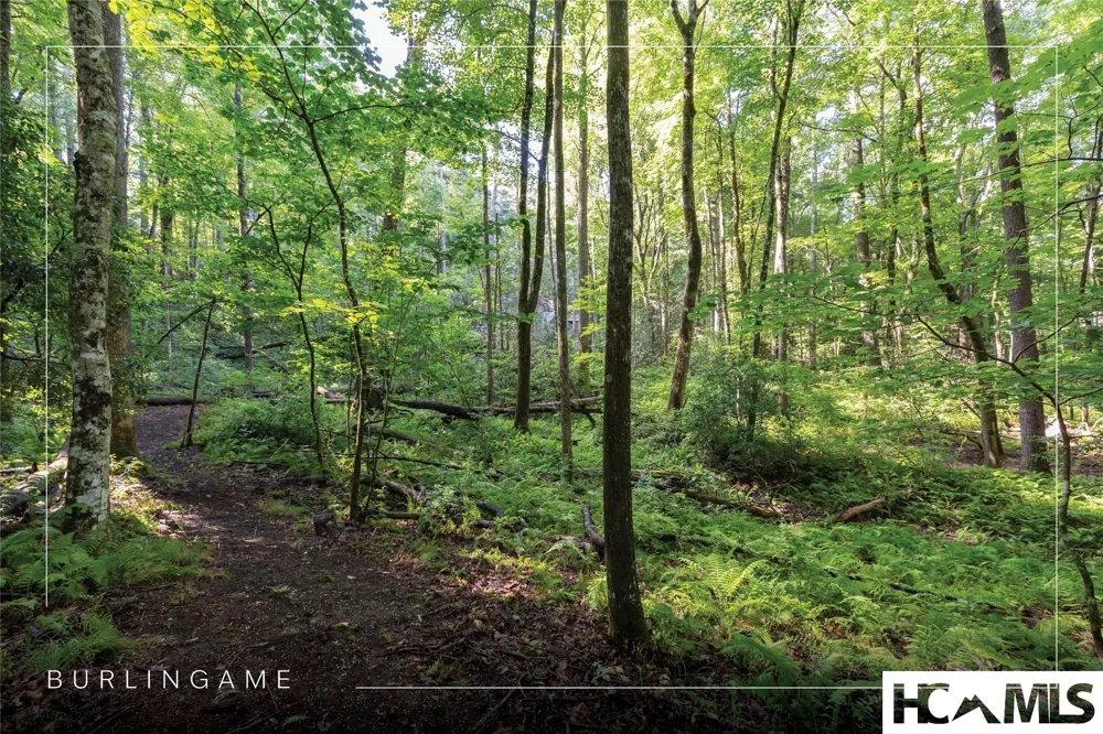 63B Big Pine Road Sapphire, NC 28774