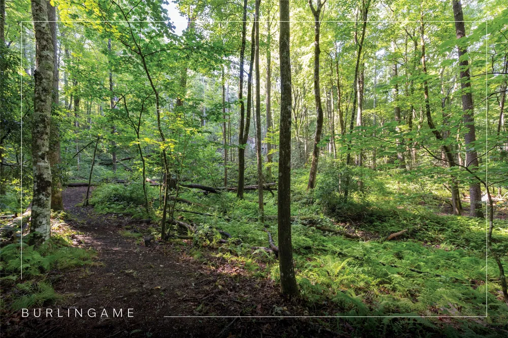 63B Big Pine Road Sapphire, NC 28774