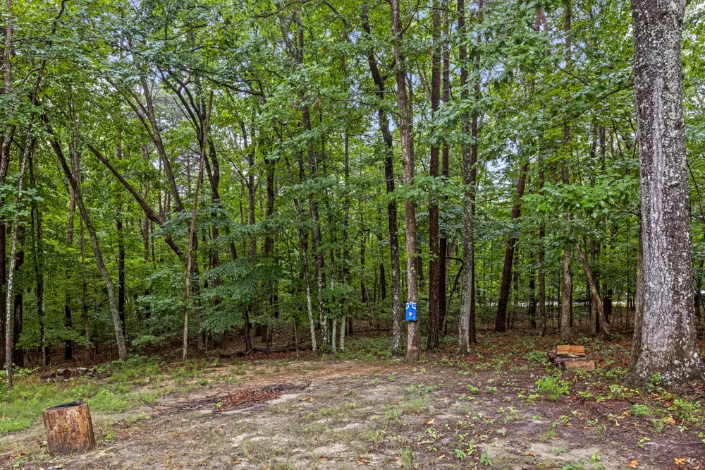 65 Eagle Bluff Road Menlo, GA 30731