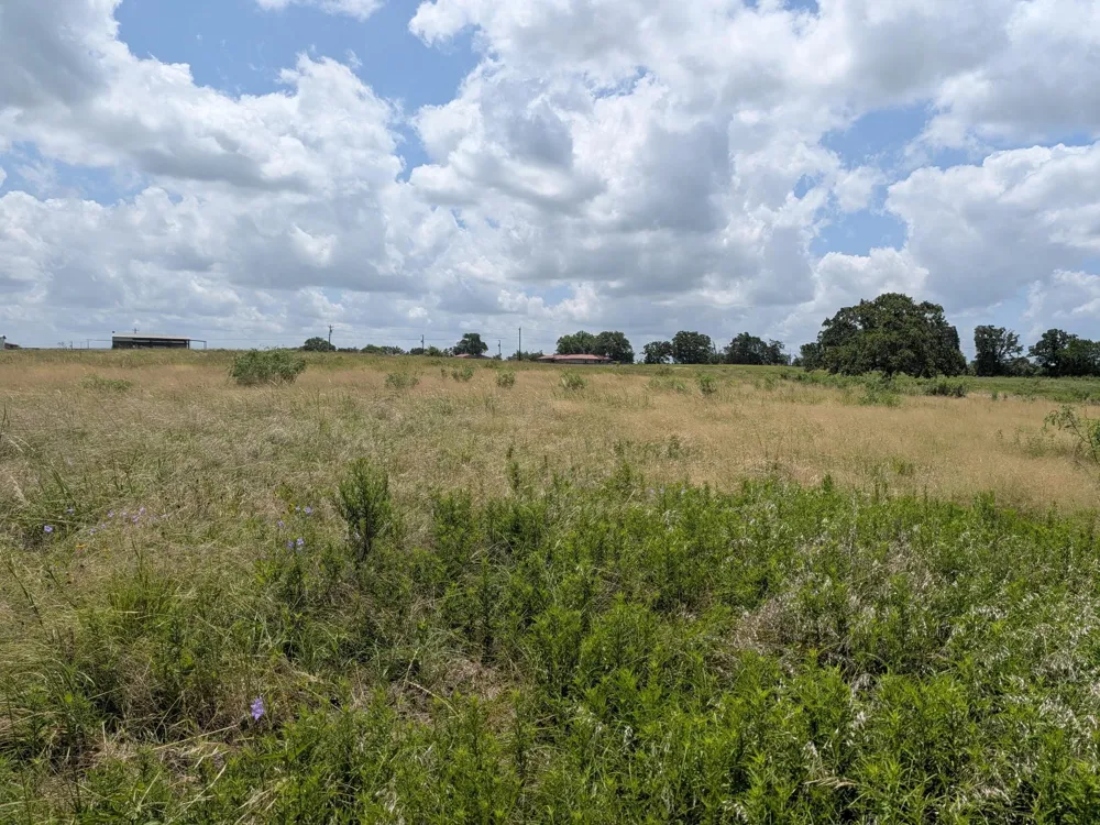 16 County Road 115 Bedias, TX 77831