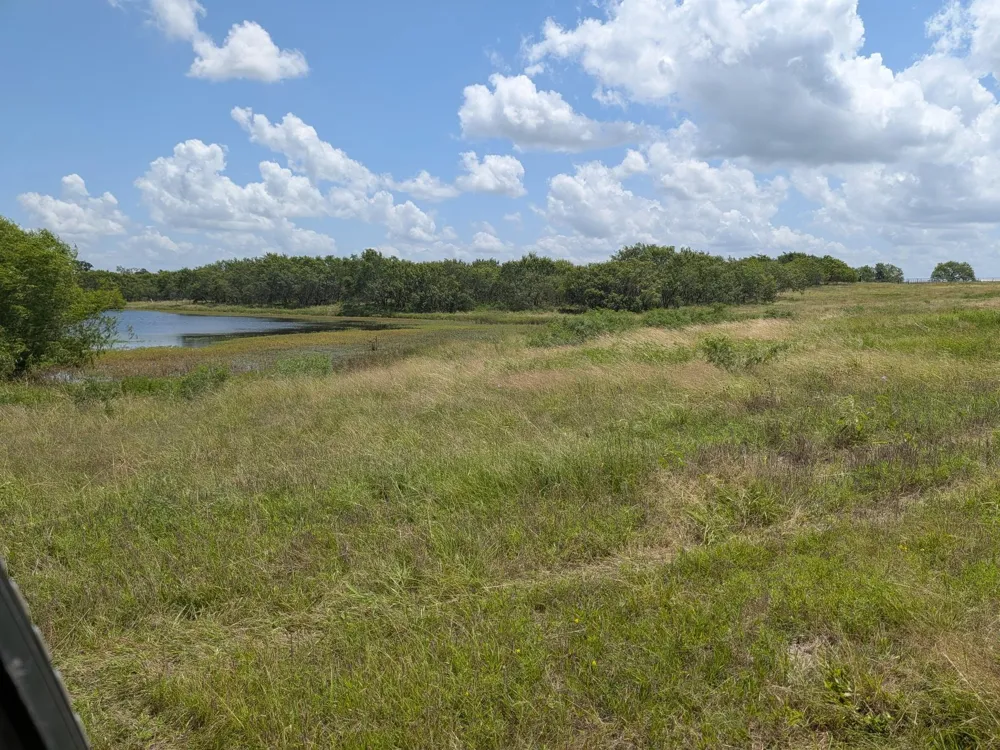 16 County Road 115 Bedias, TX 77831