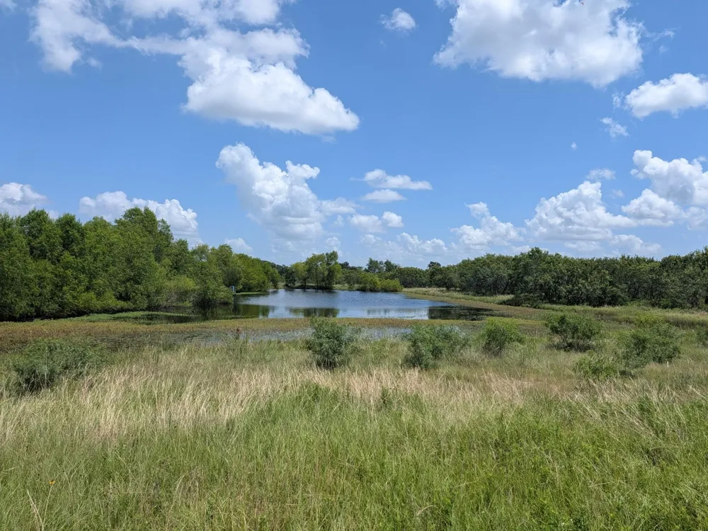 16 County Road 115 Bedias, TX 77831