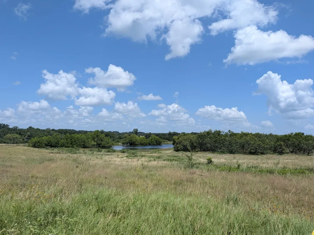 16 County Road 115 Bedias, TX 77831