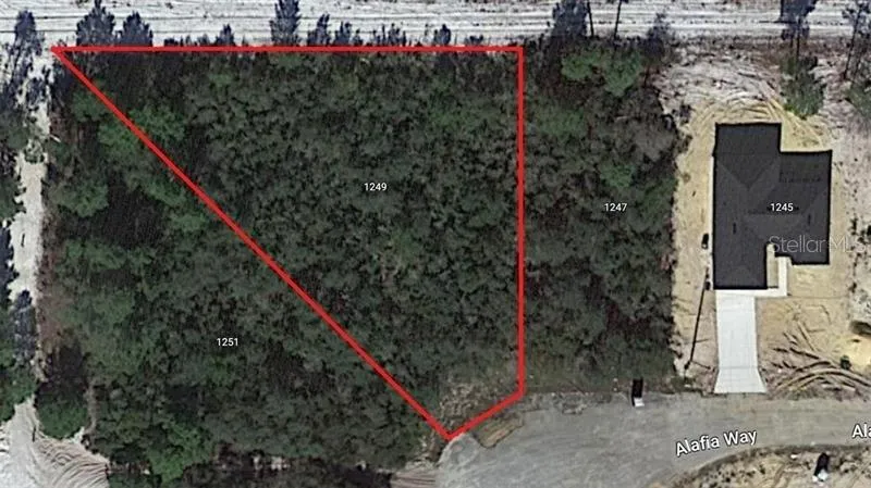 1249 ALAFIA WAY Poinciana, FL 34759