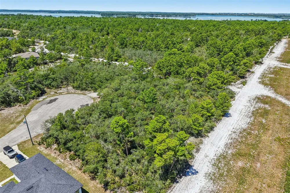 1249 ALAFIA WAY Poinciana, FL 34759