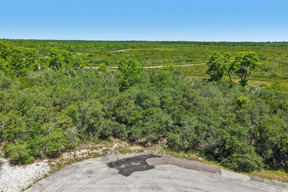 1249 ALAFIA WAY Poinciana, FL 34759