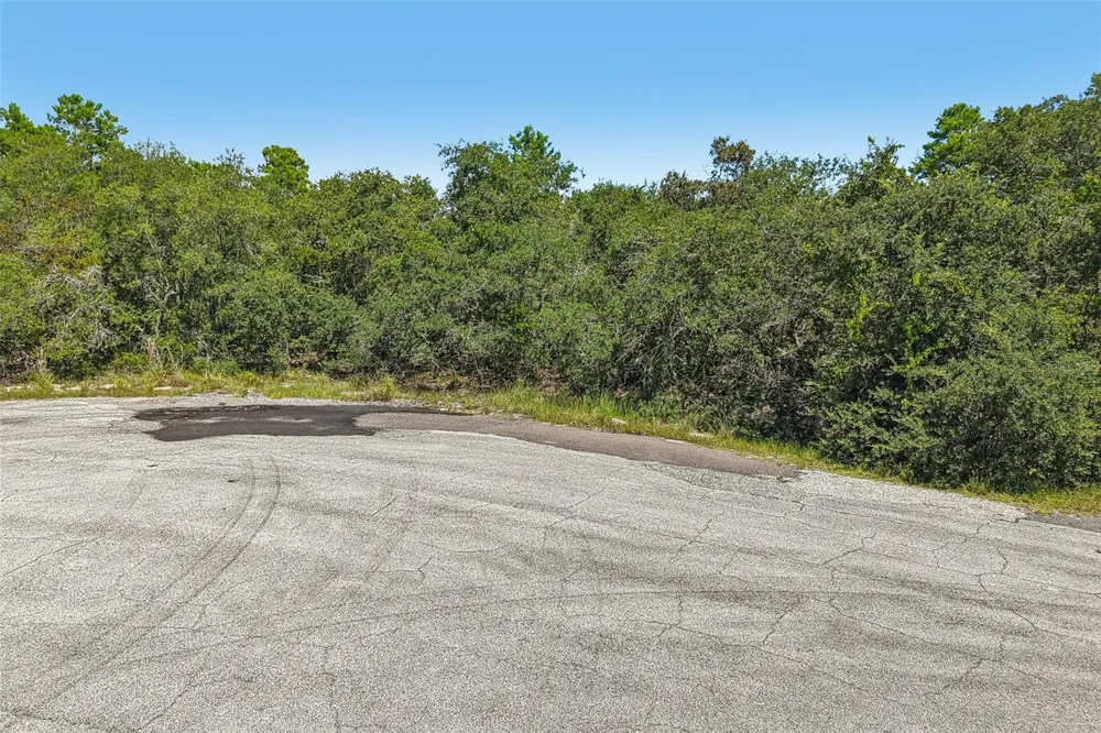 1249 ALAFIA WAY Poinciana, FL 34759