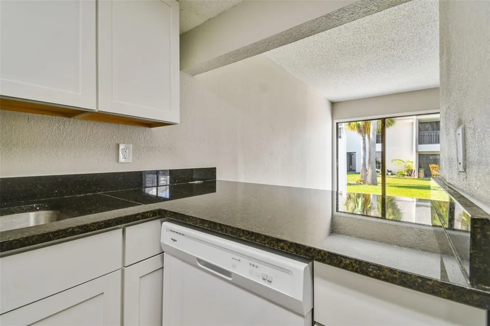 726 HAVEN PLACE #726 Tarpon Springs, FL 34689