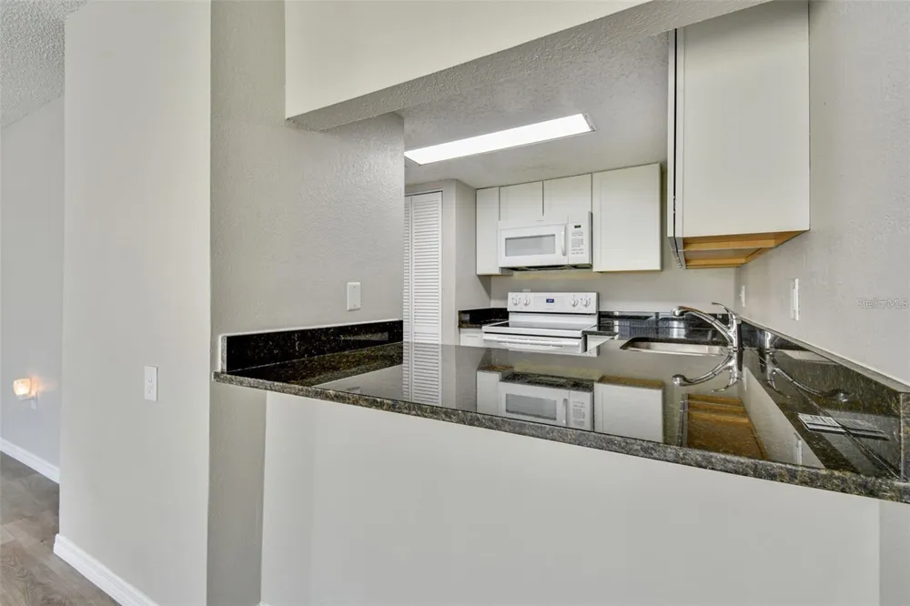 726 HAVEN PLACE #726 Tarpon Springs, FL 34689