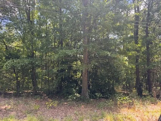 00 Nope Lane Lancaster, SC 29720