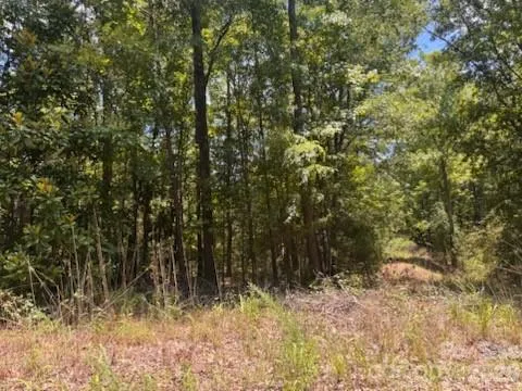 00 Nope Lane Lancaster, SC 29720