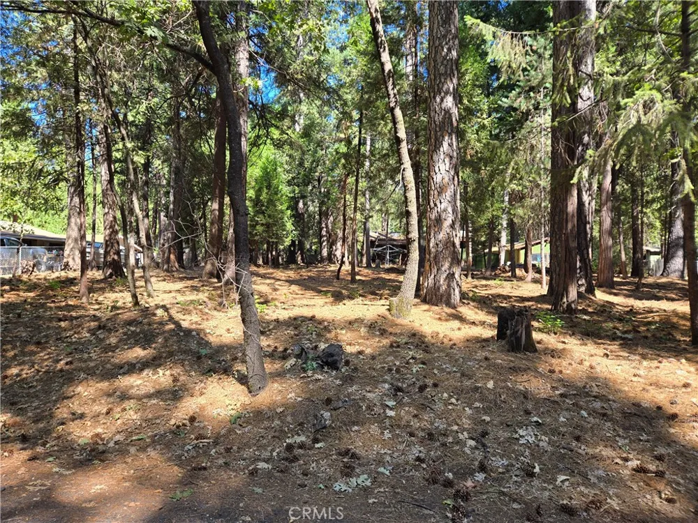 Tikker Ln Magalia, CA 95954