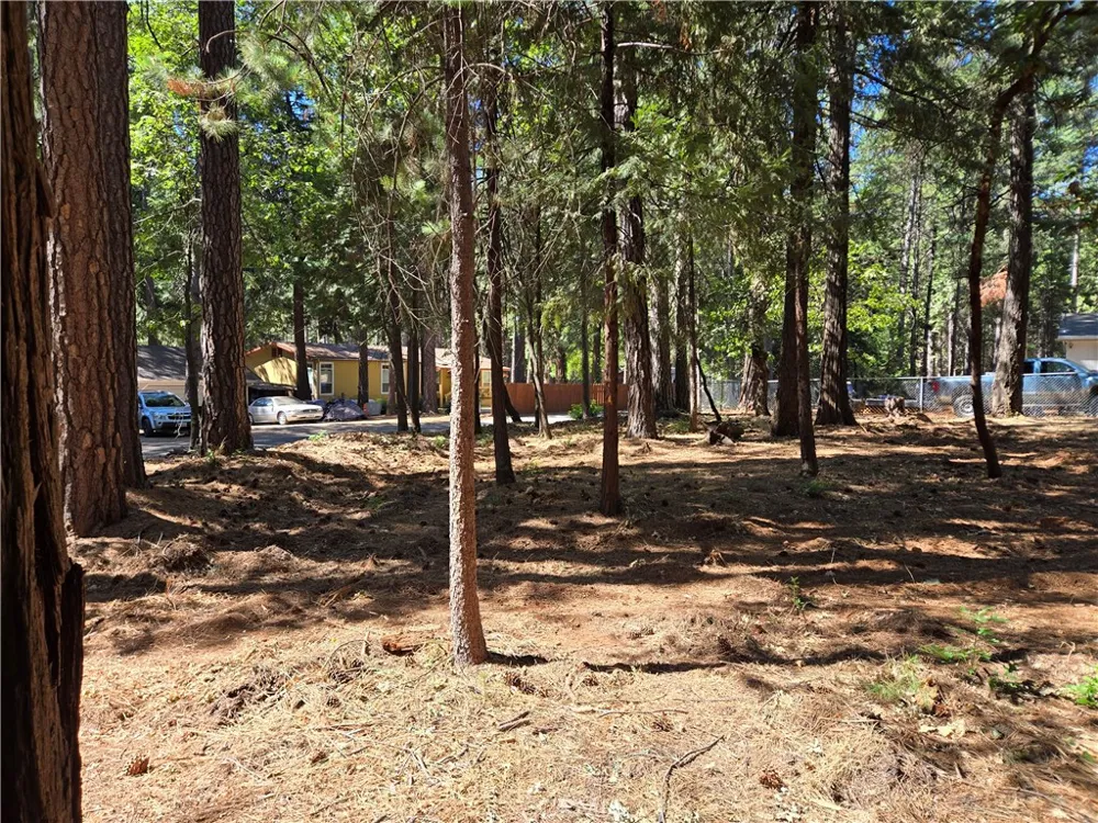 Tikker Ln Magalia, CA 95954