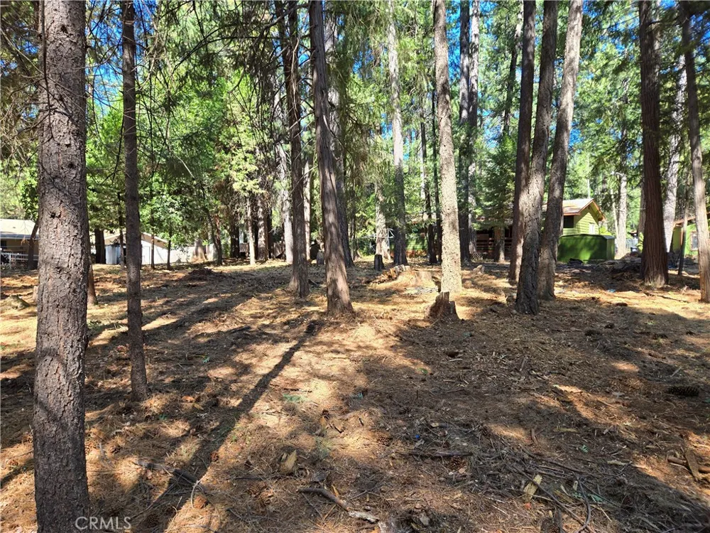 Tikker Ln Magalia, CA 95954