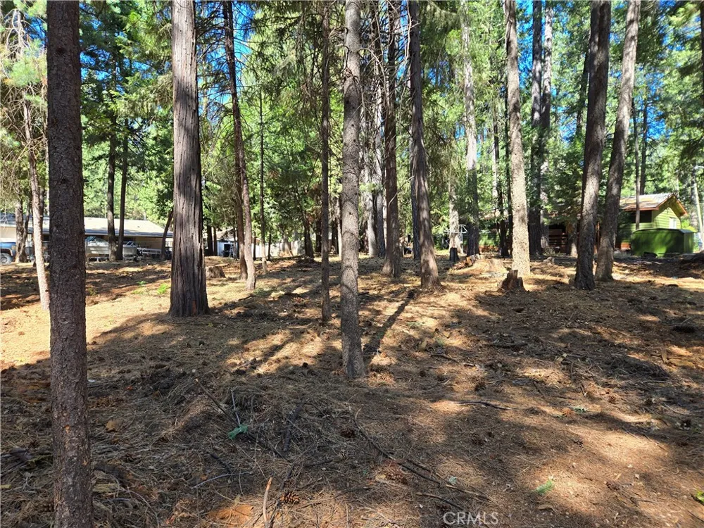 Tikker Ln Magalia, CA 95954