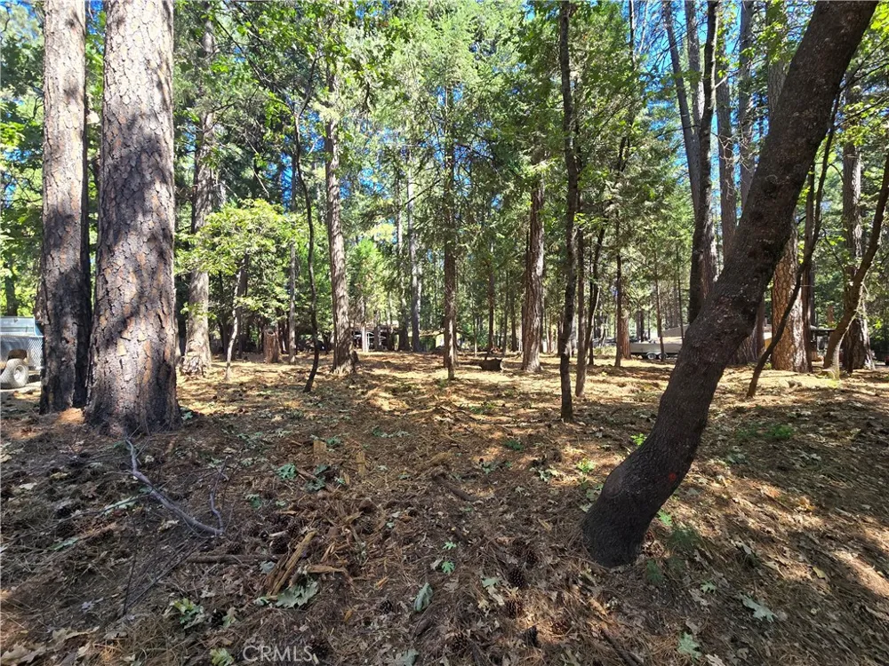Tikker Ln Magalia, CA 95954