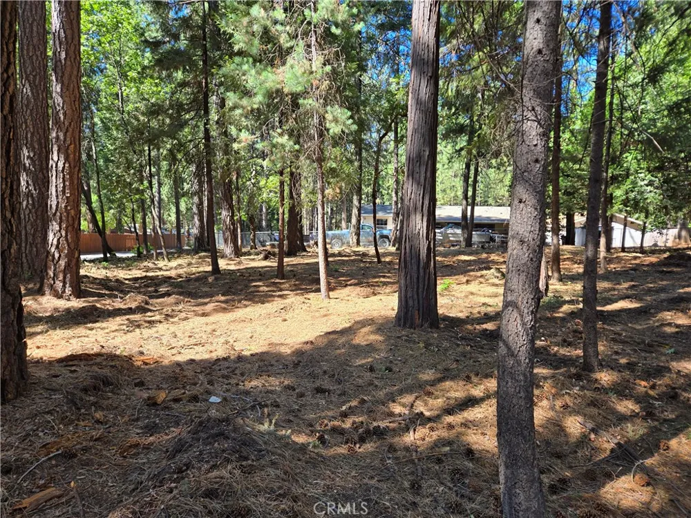 Tikker Ln Magalia, CA 95954