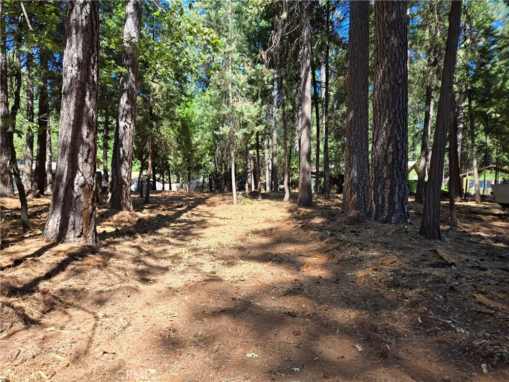 Tikker Ln Magalia, CA 95954