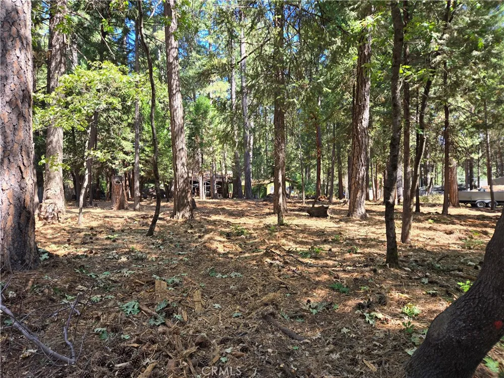 Tikker Ln Magalia, CA 95954