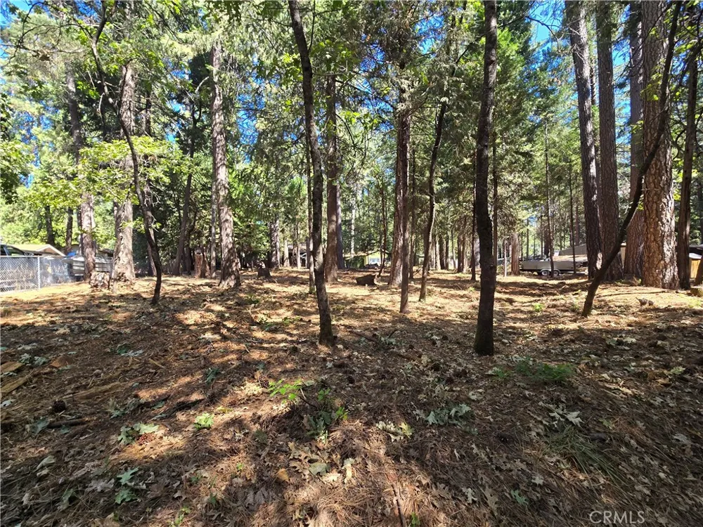 Tikker Ln Magalia, CA 95954