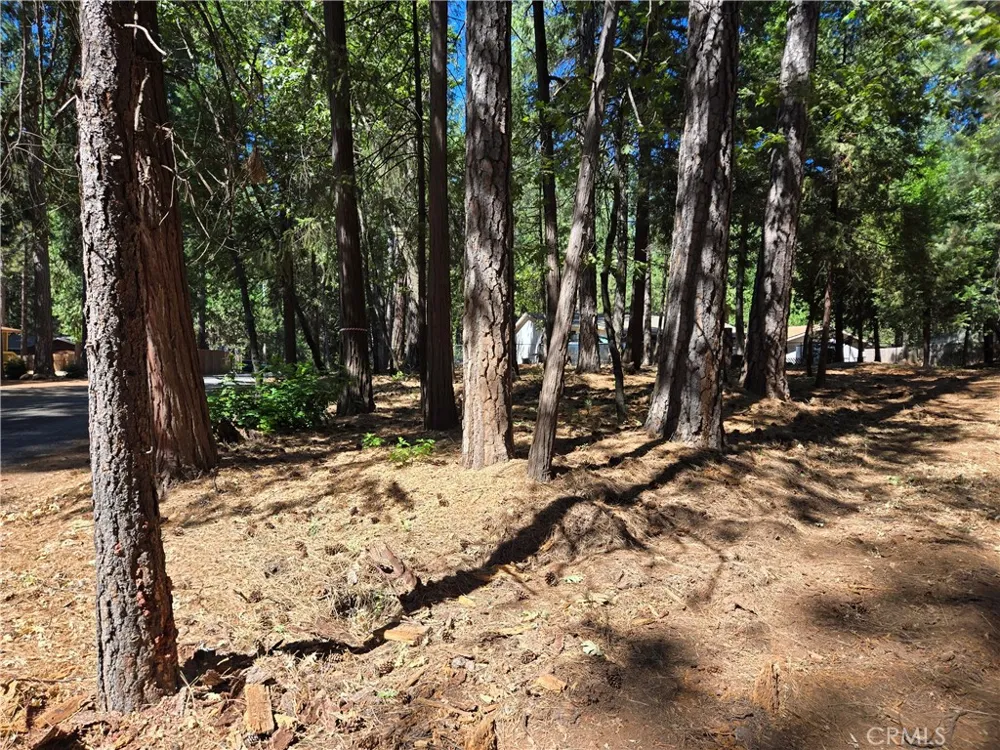 Tikker Ln Magalia, CA 95954