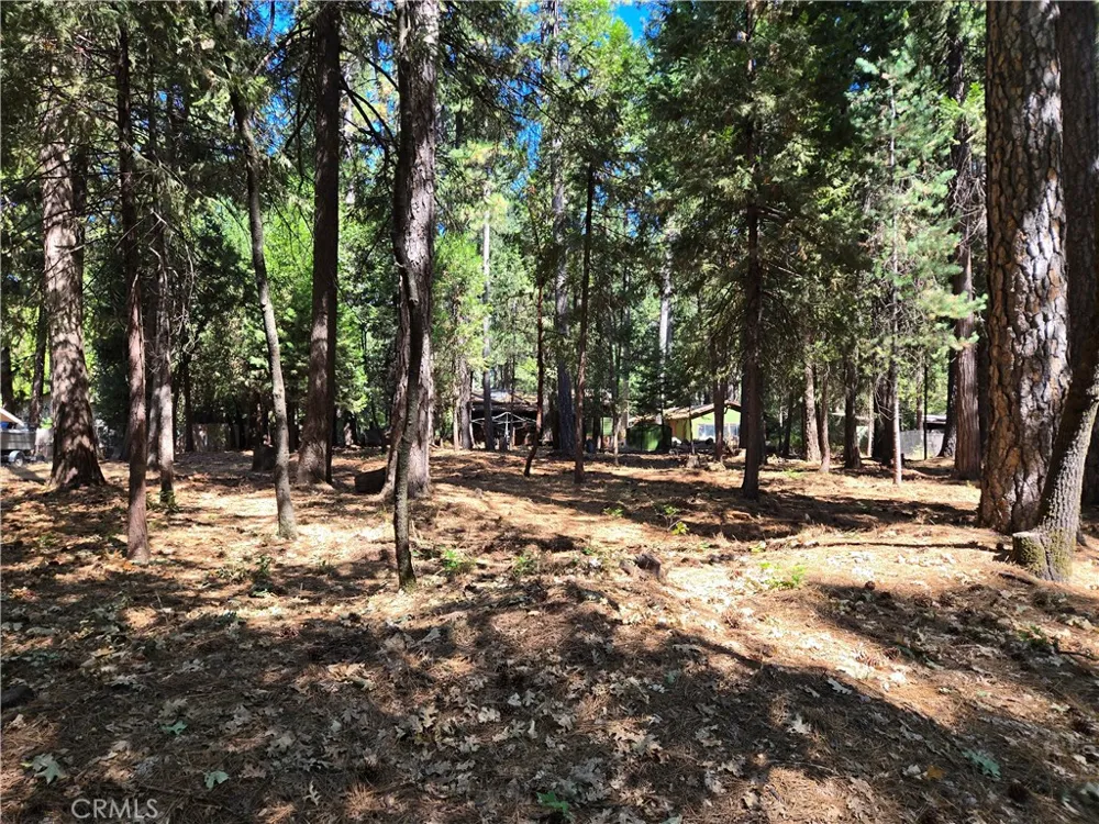 Tikker Ln Magalia, CA 95954