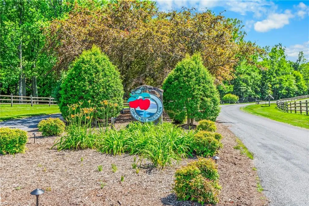 Lot 87 McIntosh Drive Lowgap, NC 27024