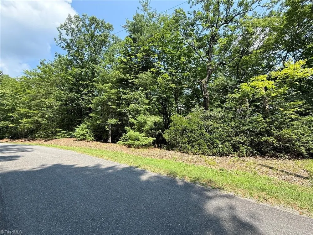 Lot 87 McIntosh Drive Lowgap, NC 27024