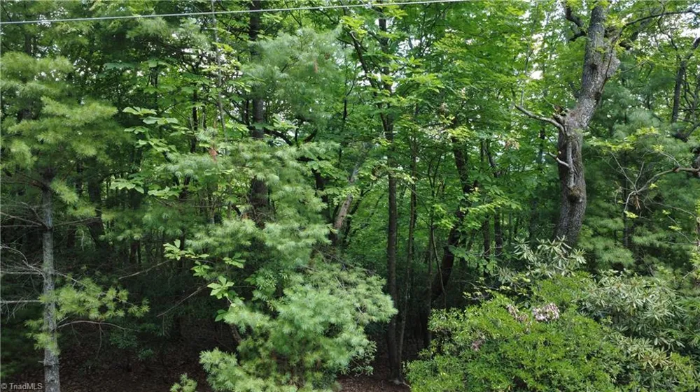 Lot 87 McIntosh Drive Lowgap, NC 27024