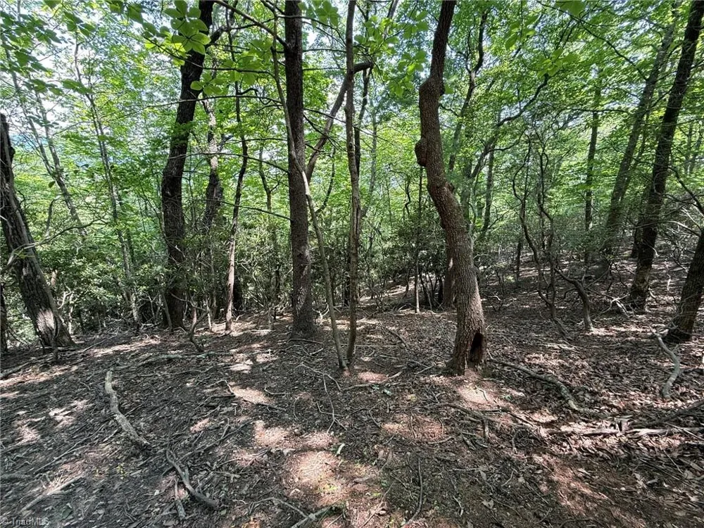 Lot 87 McIntosh Drive Lowgap, NC 27024
