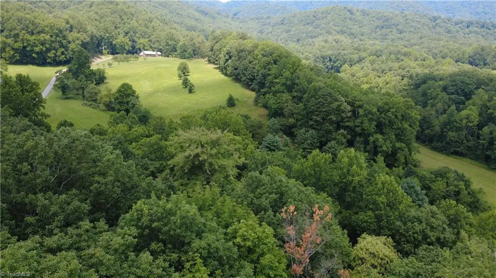 Lot 87 McIntosh Drive Lowgap, NC 27024