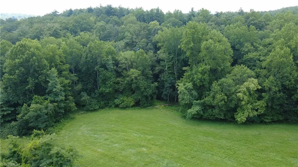 Lot 87 McIntosh Drive Lowgap, NC 27024
