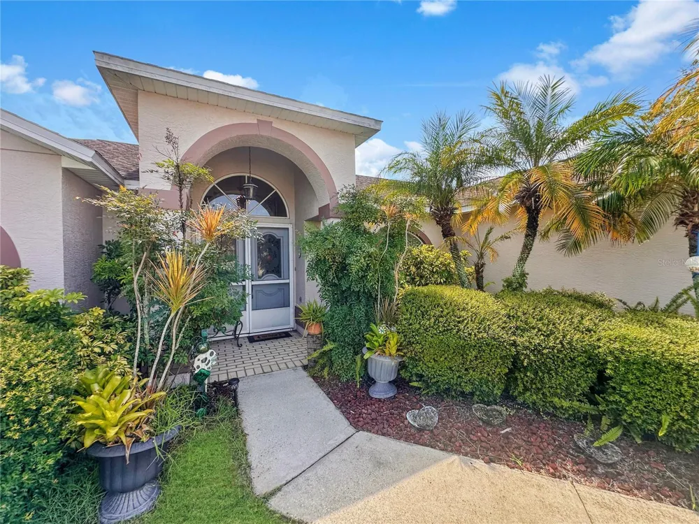 4300 ONORIO STREET New Port Richey, FL 34653