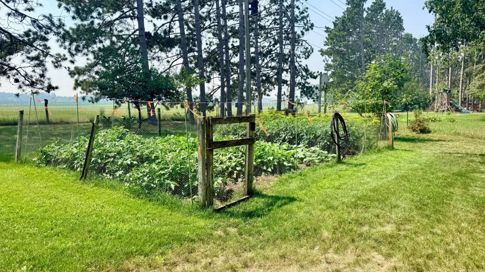 16038 Discovery Circle Park Rapids, MN 56470