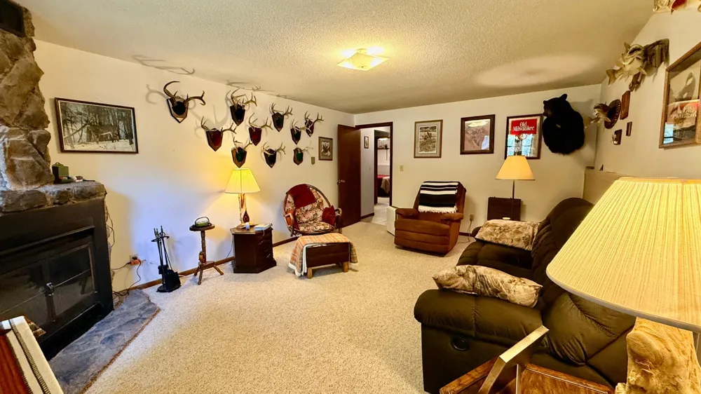 16038 Discovery Circle Park Rapids, MN 56470