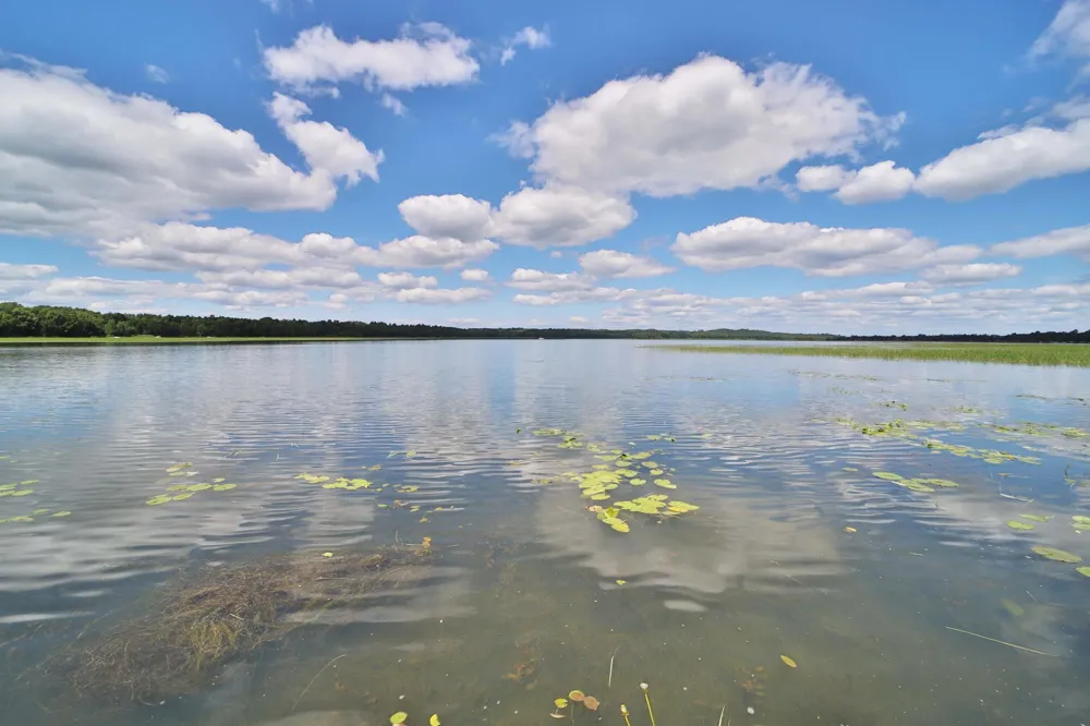 1088 W Big Portage Lake Drive NW Backus, MN 56435