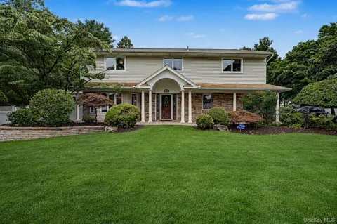 6 Field Daisy Lane