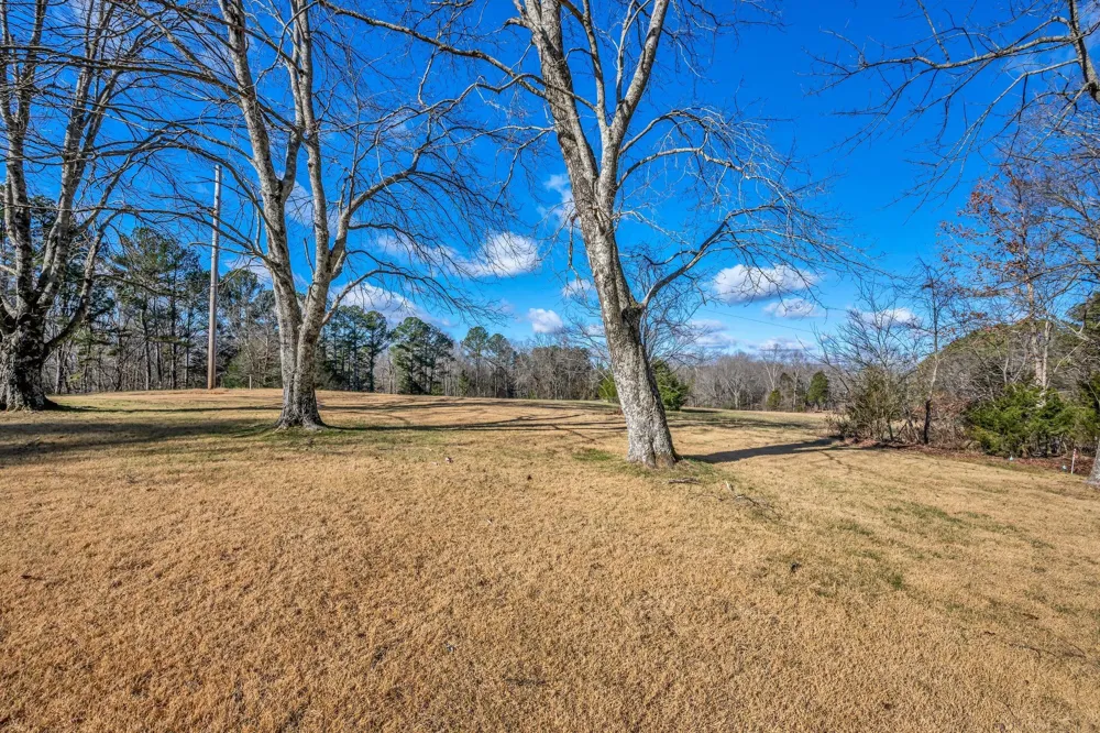 3355 Highway 47 North White Bluff, TN 37187
