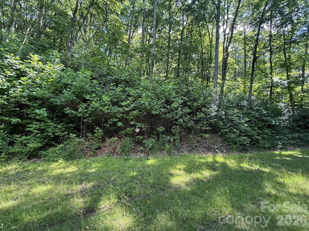 999 Hawks Nest Drive #86 Burnsville, NC 28714