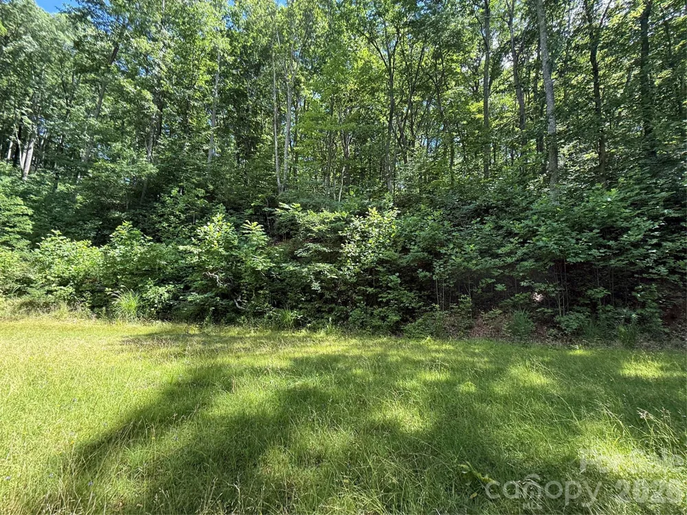 999 Hawks Nest Drive #86 Burnsville, NC 28714